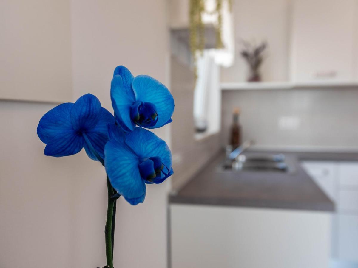 Antonio Apartman